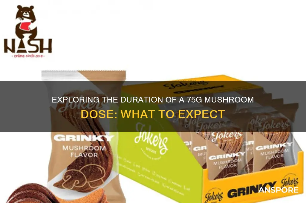 how long does a 75g mushroom dose last