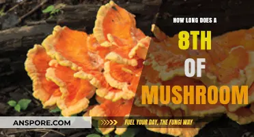How Long Does an Eighth of Mushrooms Last? A Guide