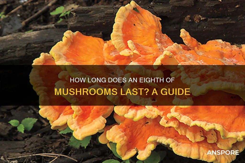 how long does a 8th of mushrooms