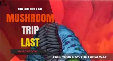 Surviving a Bad Mushroom Trip: Duration, Effects, and Recovery Tips