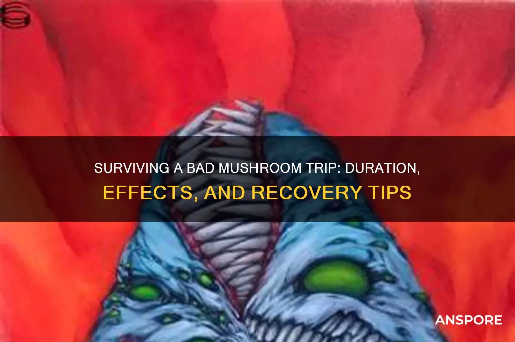 how long does a bad mushroom trip last