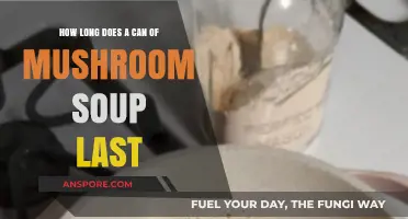 Shelf Life Secrets: How Long Does Canned Mushroom Soup Last?
