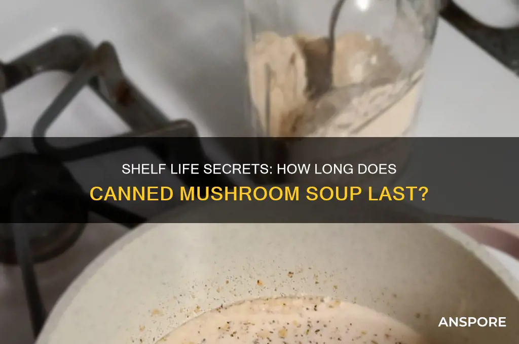 how long does a can of mushroom soup last