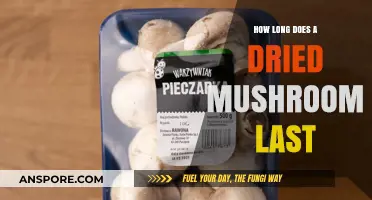 Shelf Life of Dried Mushrooms: How Long Do They Last?