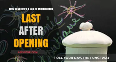 Opened Mushroom Jar Lifespan: Tips for Freshness and Storage