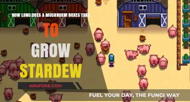 Stardew Valley Mushroom Box Growth Time: A Comprehensive Guide