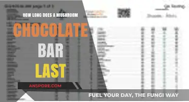 Shelf Life of Mushroom Chocolate Bars: Storage Tips and Duration