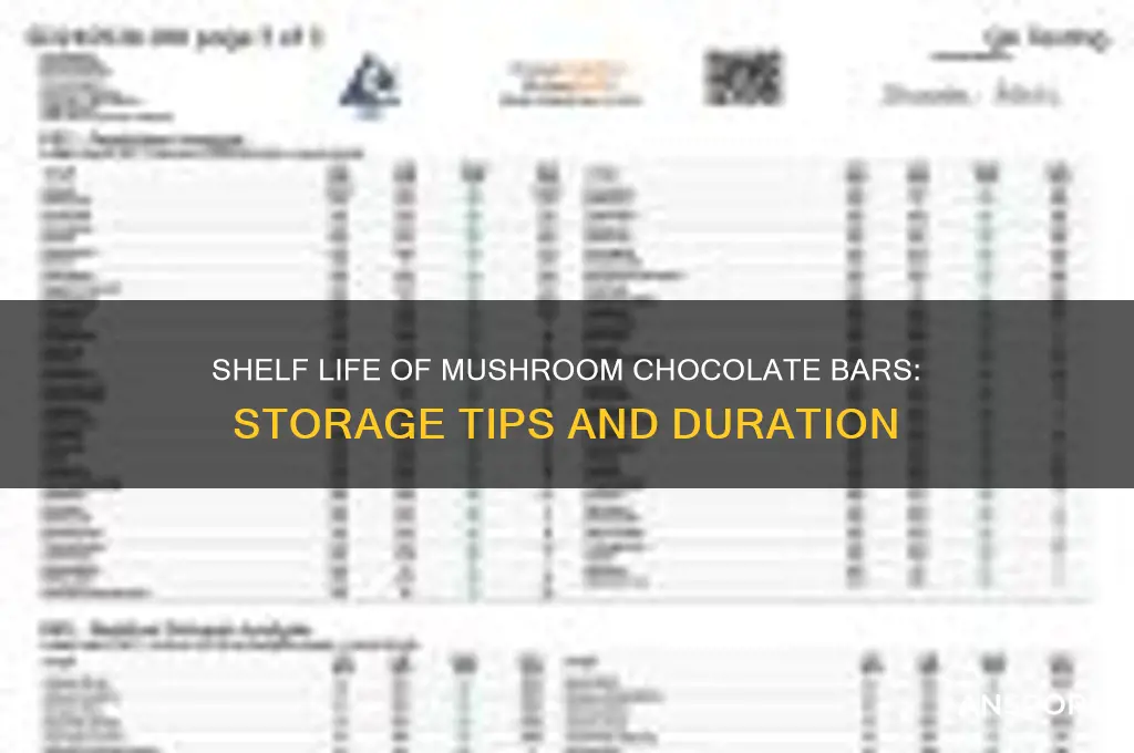 how long does a mushroom chocolate bar last