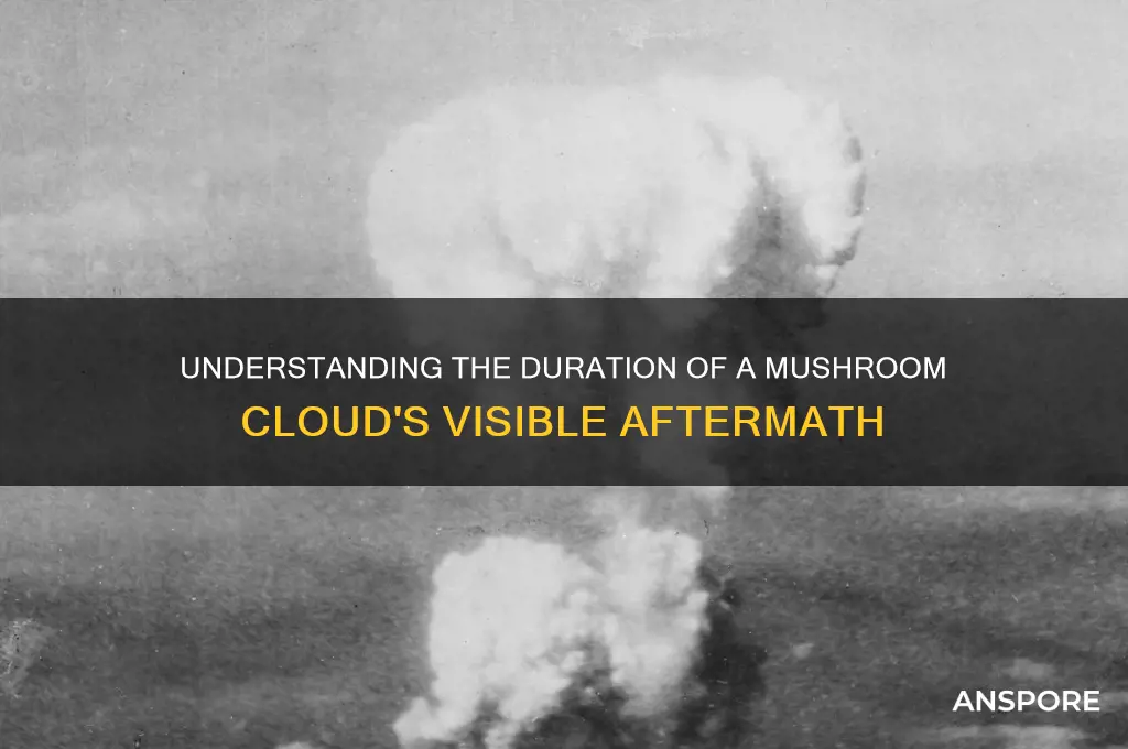 how long does a mushroom cloud last
