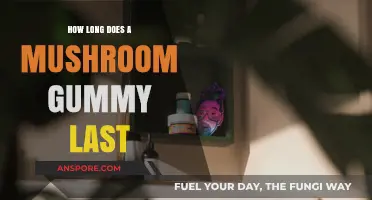 How Long Do Mushroom Gummies Last? Shelf Life Explained