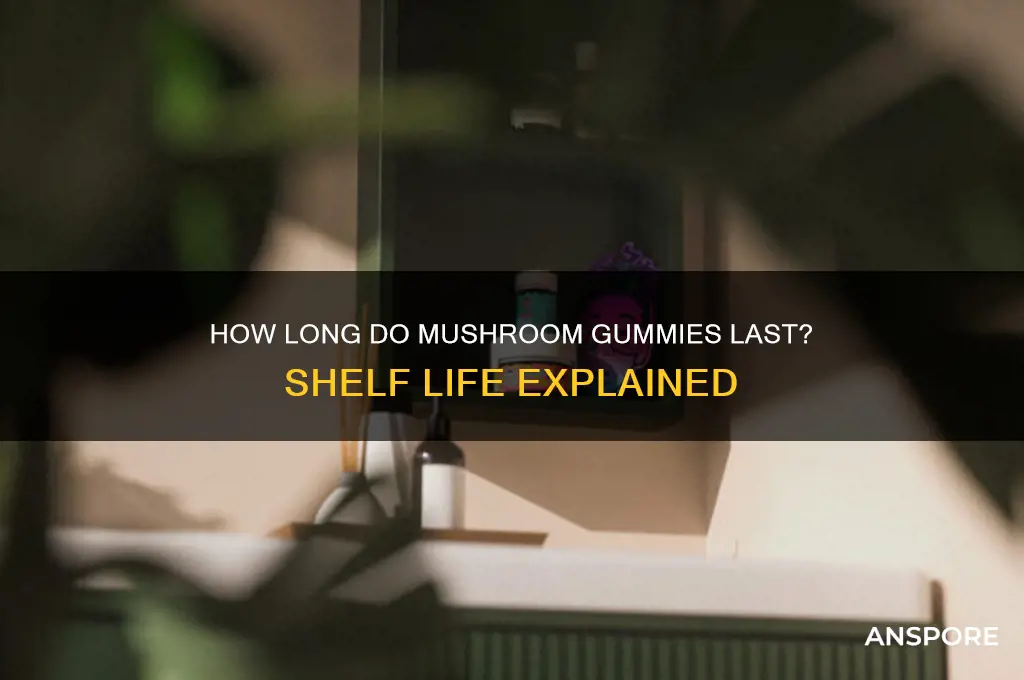 how long does a mushroom gummy last