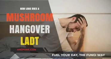 Understanding the Duration of a Mushroom Hangover: What to Expect
