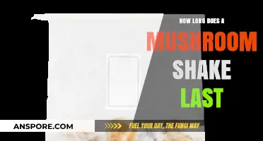 Mushroom Shake Shelf Life: Duration, Storage Tips, and Freshness Guide