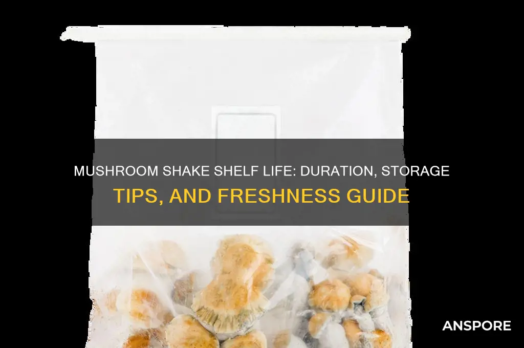 how long does a mushroom shake last
