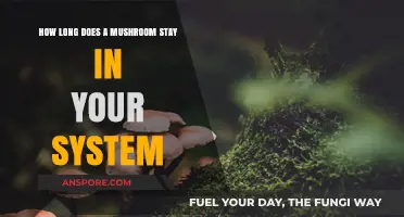 How Long Do Mushrooms Stay in Your System?