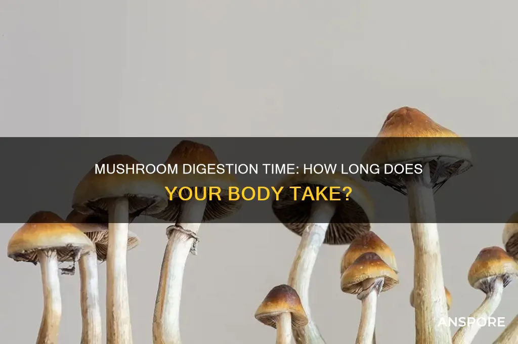 how long does a mushroom take to digest