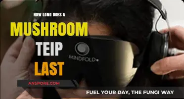 Exploring the Duration of a Mushroom Trip: What to Expect