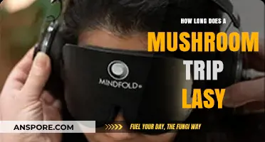 Exploring the Duration of a Mushroom Trip: What to Expect