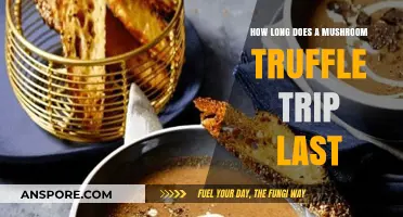 Exploring the Duration of a Mushroom Truffle Psychedelic Experience