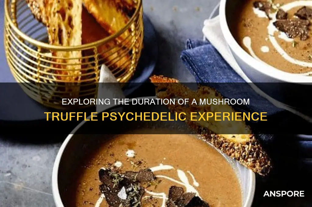 how long does a mushroom truffle trip last