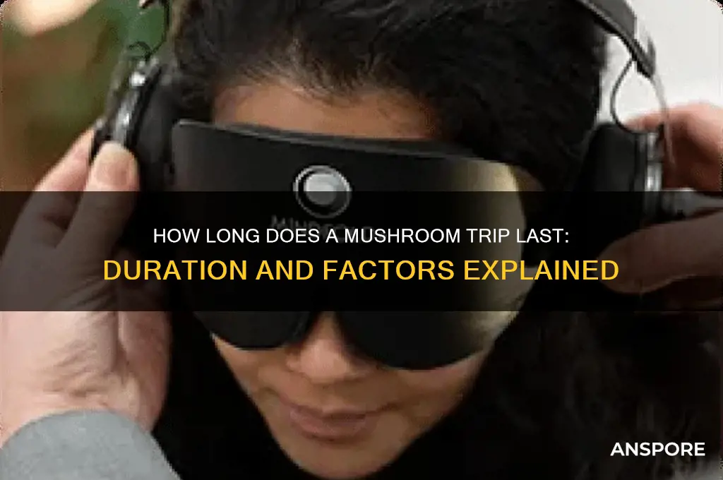 how long does a mushroom trup last