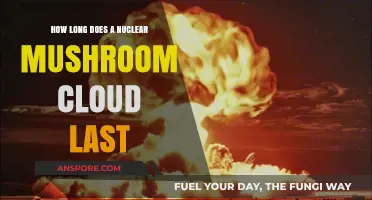 Nuclear Mushroom Clouds: Duration, Dispersion, and Environmental Impact Explained