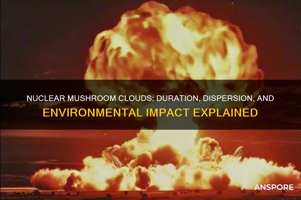 how long does a nuclear mushroom cloud last
