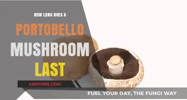 Portobello Mushroom Shelf Life: Storage Tips for Freshness and Longevity