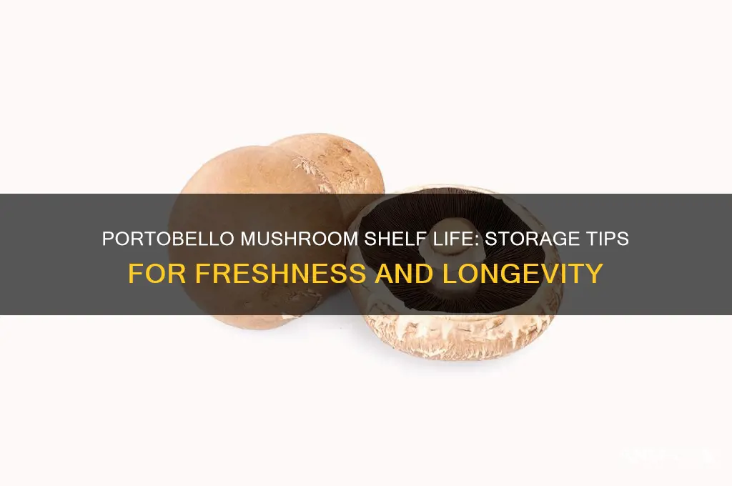 how long does a portobello mushroom last