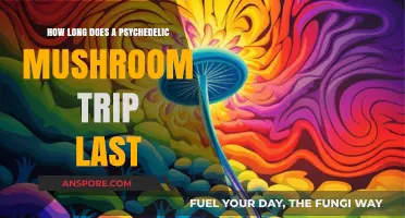 Psychedelic Mushroom Trip Duration: Understanding the Length of the Experience