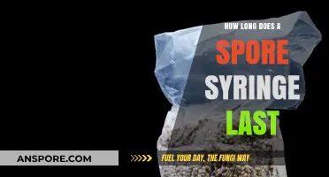 Maximizing Spore Syringe Shelf Life: Storage Tips and Expiry Guide