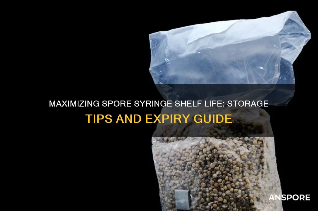 how long does a spore syringe last