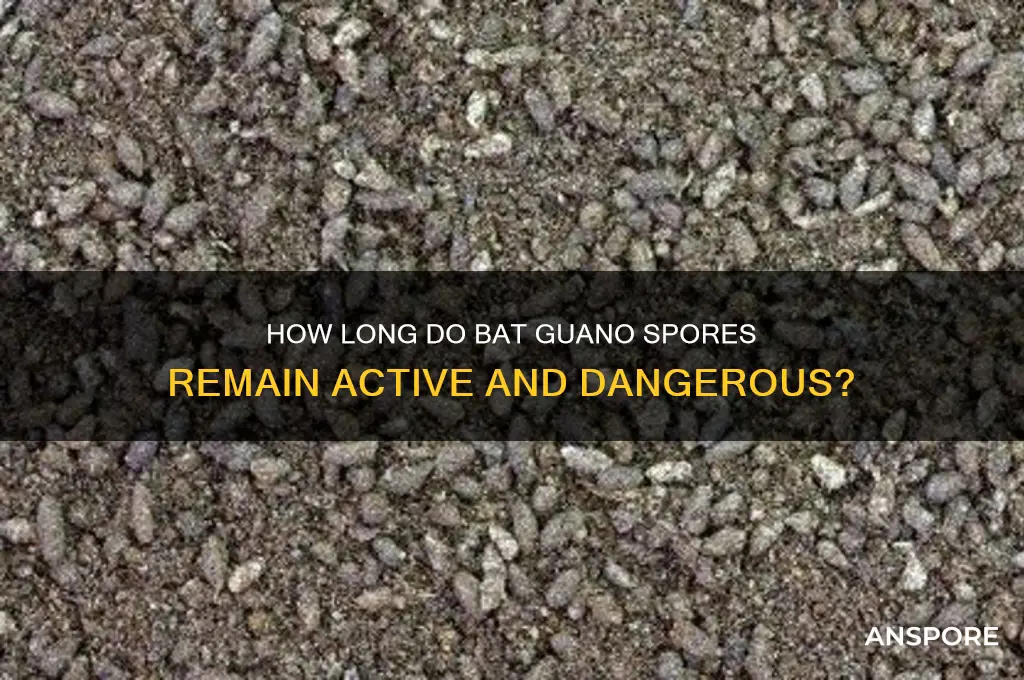 how long does bat guano spores last