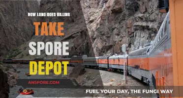 Understanding Spore Depot's Billing Process: Timeframe and Efficiency Explained