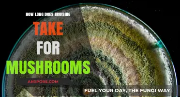 Understanding Mushroom Bruising: Healing Time and Factors Affecting Recovery