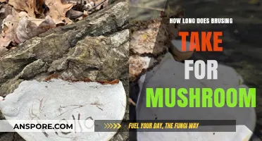 Understanding Mushroom Bruising: How Long Does It Typically Take?