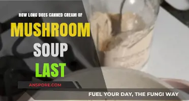 Canned Cream of Mushroom Soup Shelf Life: Storage Tips & Expiry Guide