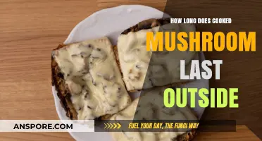 Cooked Mushroom Shelf Life: How Long Do They Last Outside?