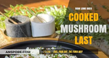 Cooked Mushroom Storage Guide: How Long Do They Stay Fresh?