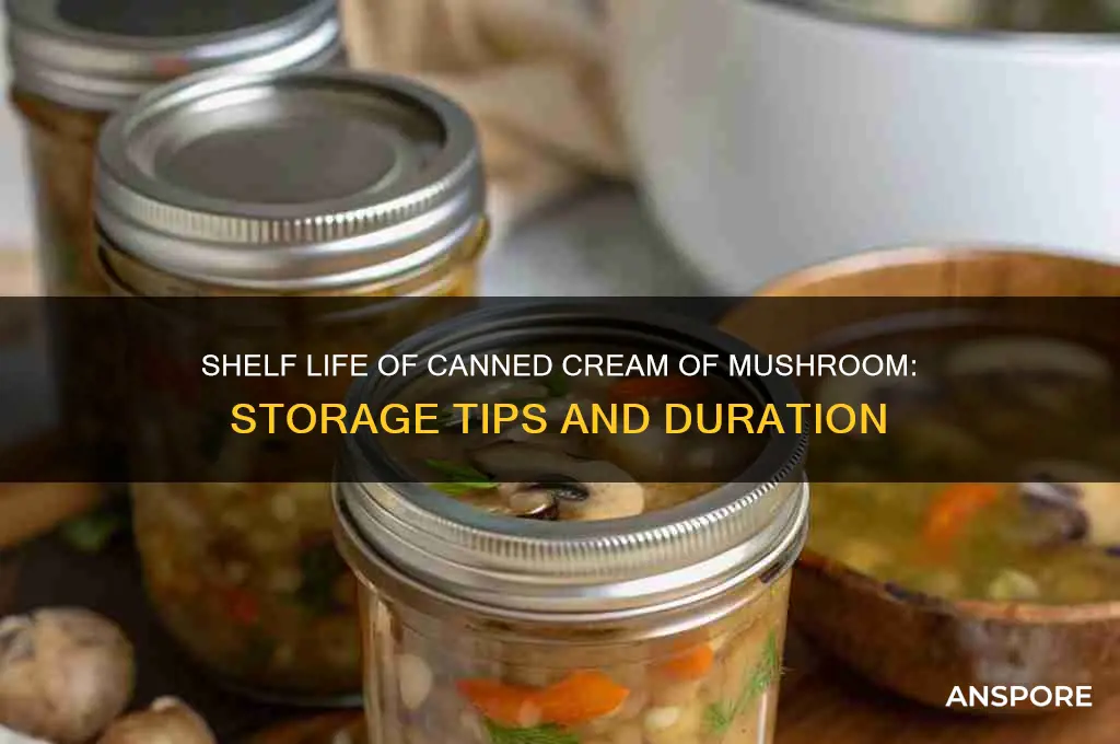 how long does cream of mushroom last in cans