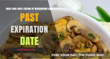 Cream of Mushroom Shelf Life: How Long Past Expiration is Safe?