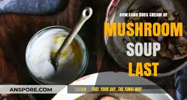 Cream of Mushroom Soup Shelf Life: Storage Tips and Expiration Guide