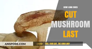 How Long Do Cut Mushrooms Last? Freshness and Storage Tips