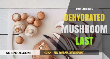 Dehydrated Mushrooms Shelf Life: How Long Do They Last?