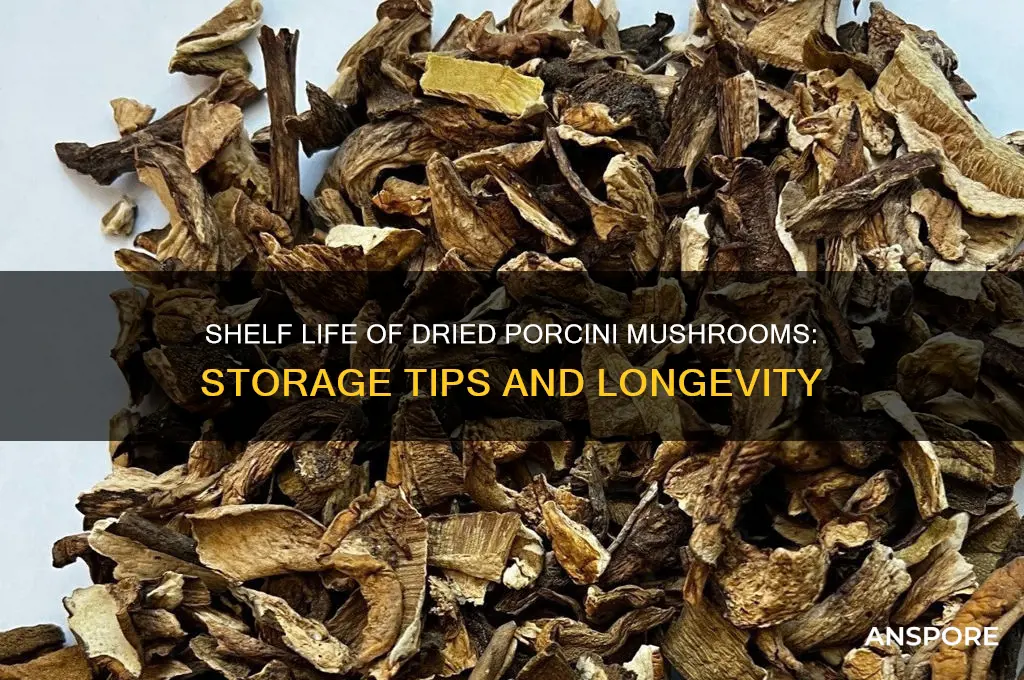 how long does dried porcini mushrooms last