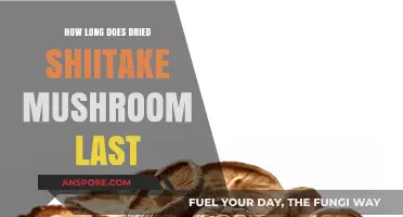 Shelf Life of Dried Shiitake Mushrooms: Storage Tips and Duration