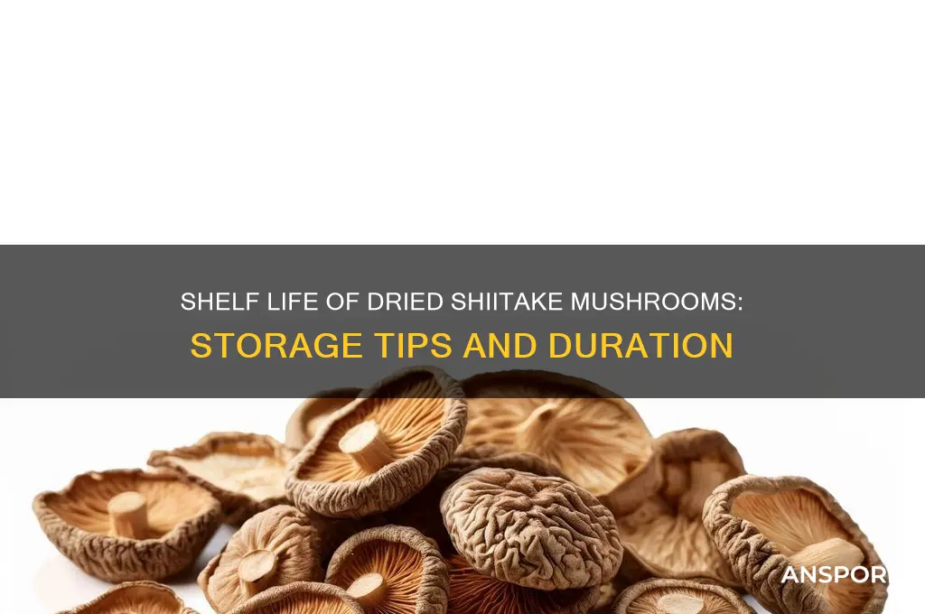 how long does dried shiitake mushroom last