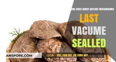 Vacuum-Sealed Dried Shiitake Mushrooms: Shelf Life and Storage Tips