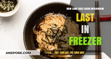 Enoki Mushrooms in the Freezer: Shelf Life and Storage Tips