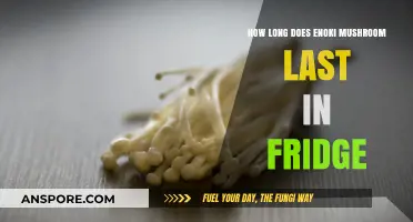 Enoki Mushrooms Shelf Life: How Long Do They Last in Fridge?